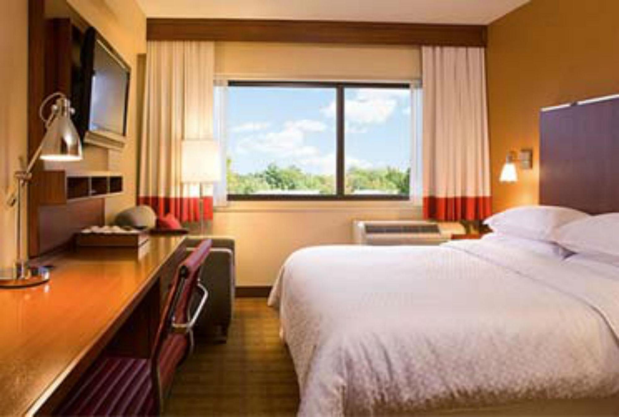 Four Points By Sheraton Punta Cana Habitación foto